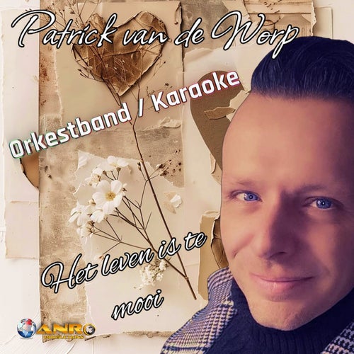 Het leven is te mooi (Orkestband / karaoke)