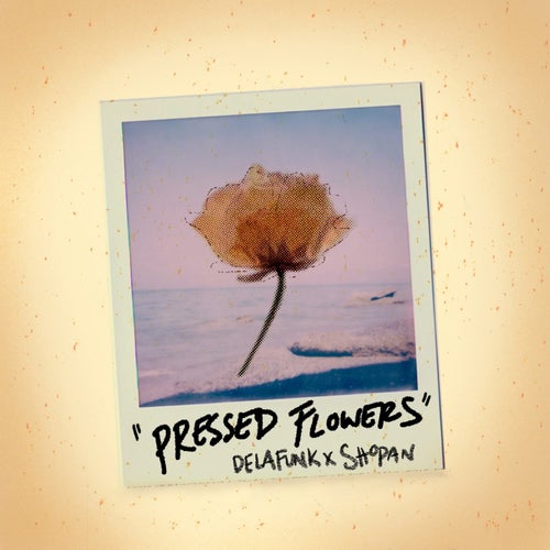 Pressed Flowers