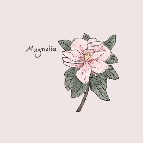 Magnolia