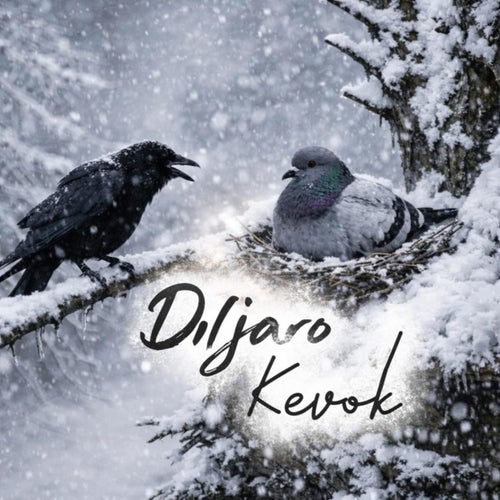 Kevok