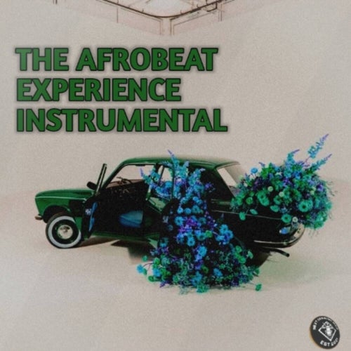 THE AFROBEAT EXPERIENCE INSTRUMENTAL