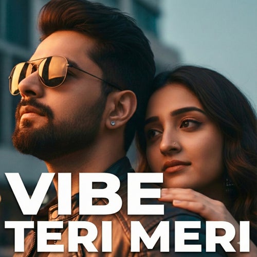 Vibe Teri Meri