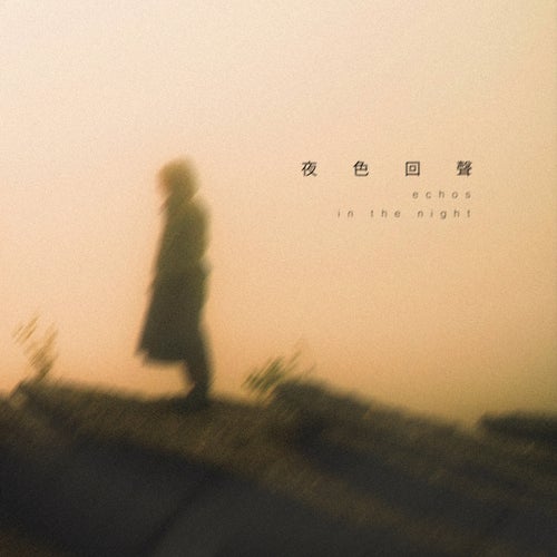 Echoes in the night (夜色回聲)
