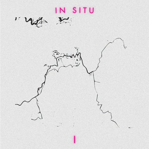 In Situ: I