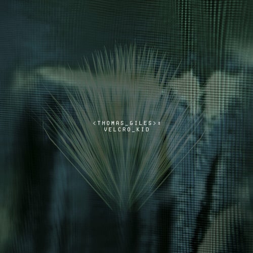 Release of the week