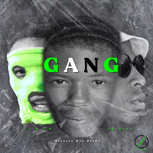 Gang (feat. jib30 & TP-FiLz)