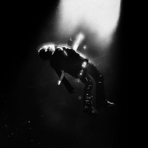 narcissus