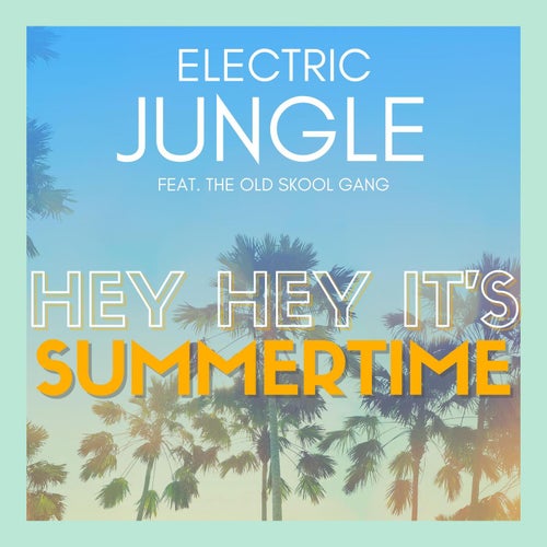 Hey Hey It's Summertime (feat. The Old Skool Gang) [The Mixes]