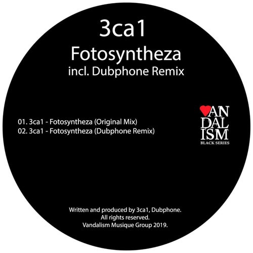Fotosyntheza