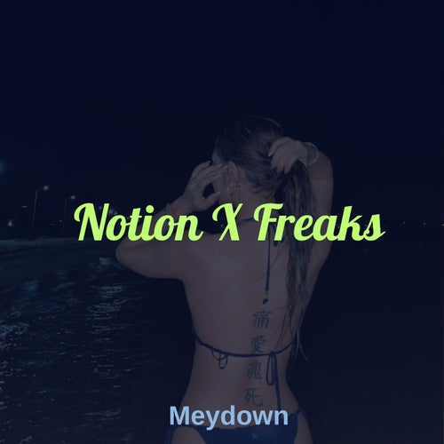 Notion X Freaks