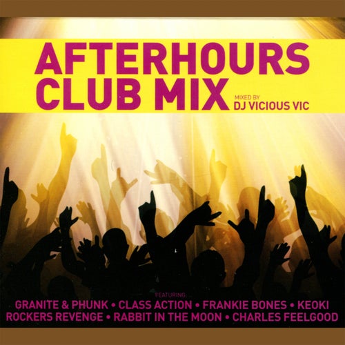 Afterhours Club Mix (Continuous DJ Mix By Vicious Vic)