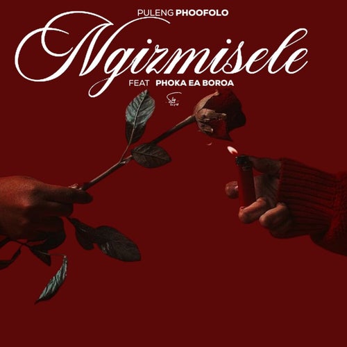 Ngizmisele
