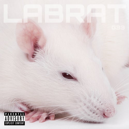 Lab Rat