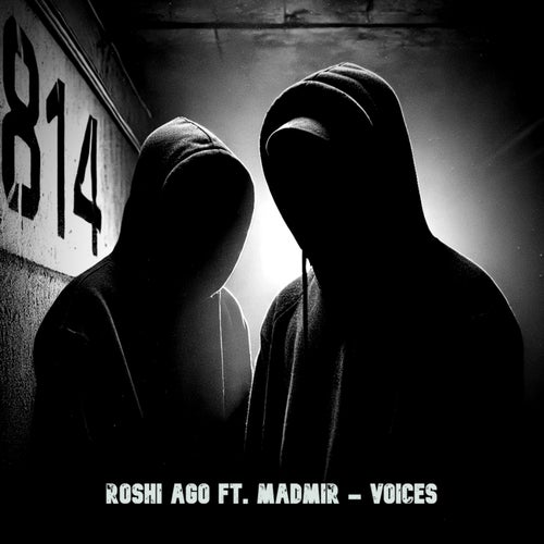 Voices