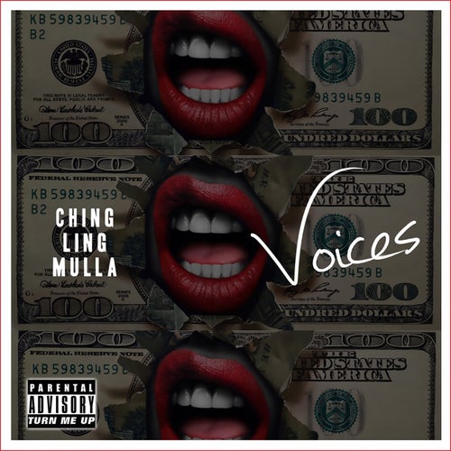 Voices