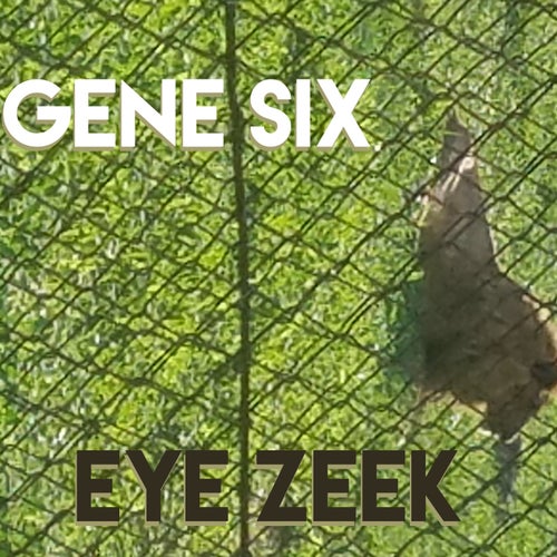 Eye Zeek