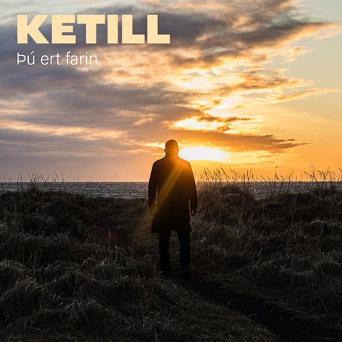 Þú ert farin