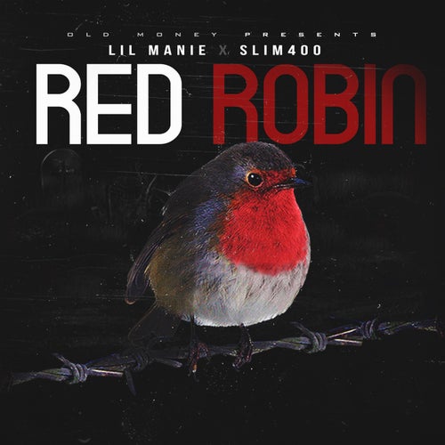 Red Robin