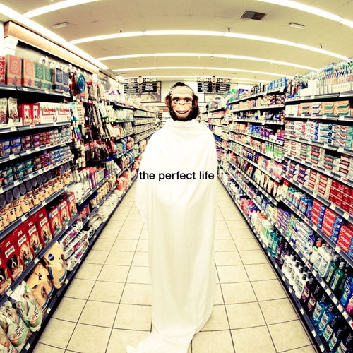 The Perfect Life (feat. Wayne Coyne)