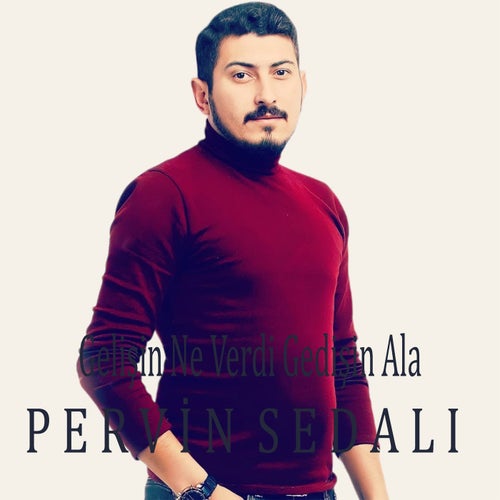 Gelişin Ne Verdi Gedişin Ala
