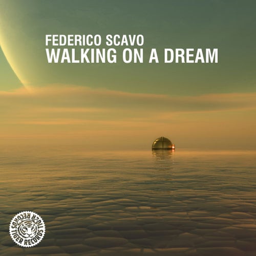 Walking On A Dream (Original Mix)