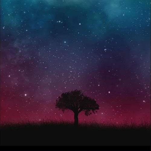 SONGS FROM THE POET