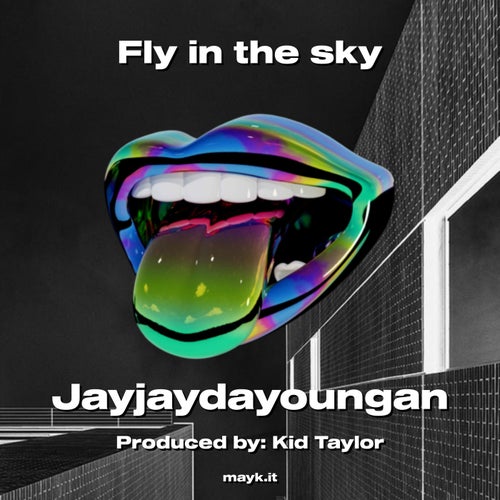Fly in the sky