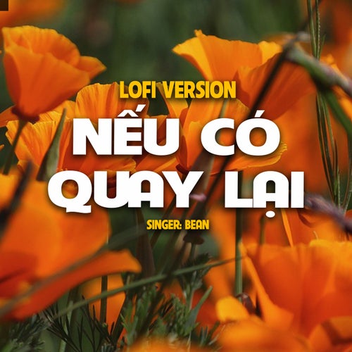 Nếu Có Quay Lại (Lo-Fi)