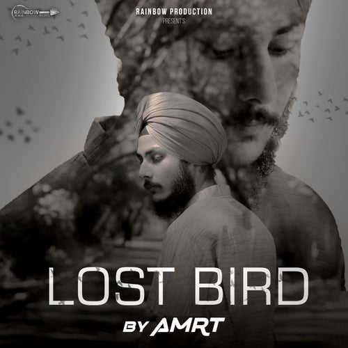 Lost Bird