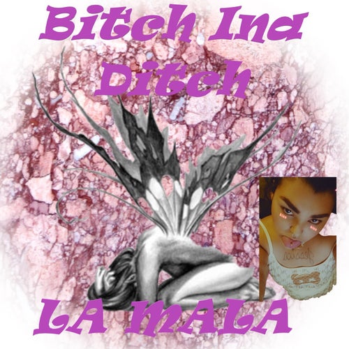 Bitch Ina Ditch