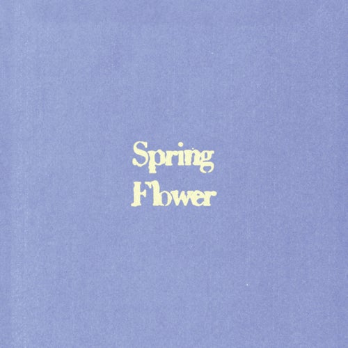 Spring Flower