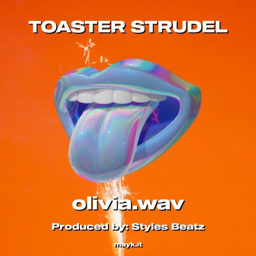 TOASTER STRUDEL </3