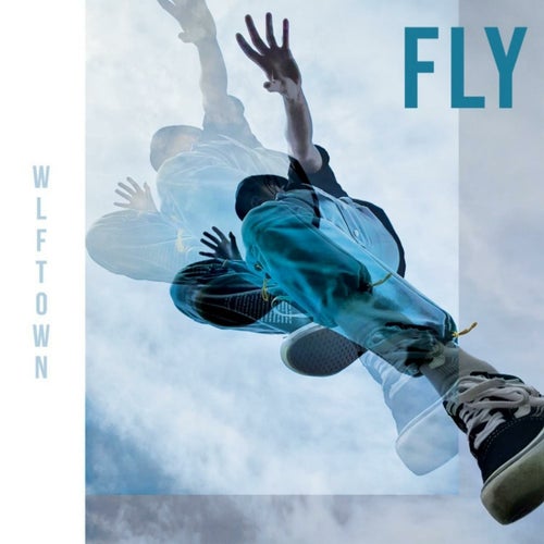 FLY