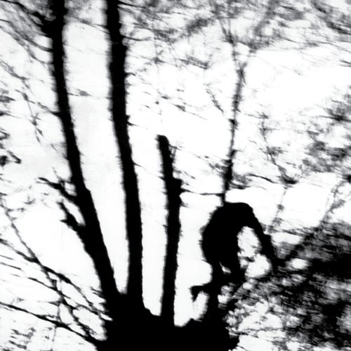 Camouflage Heart