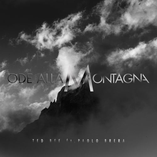 Release of the week