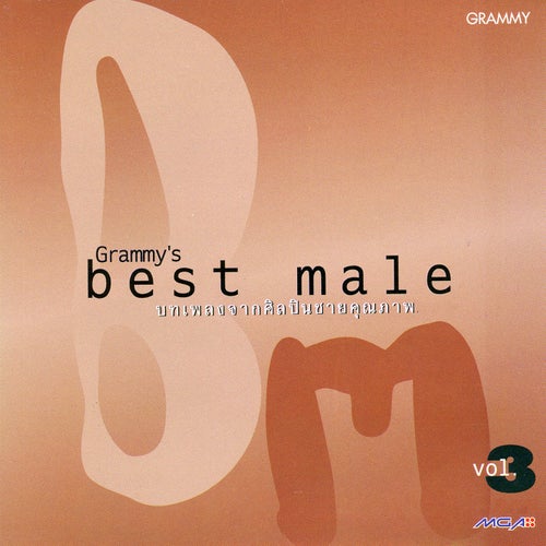 Best Male, Vol. 3