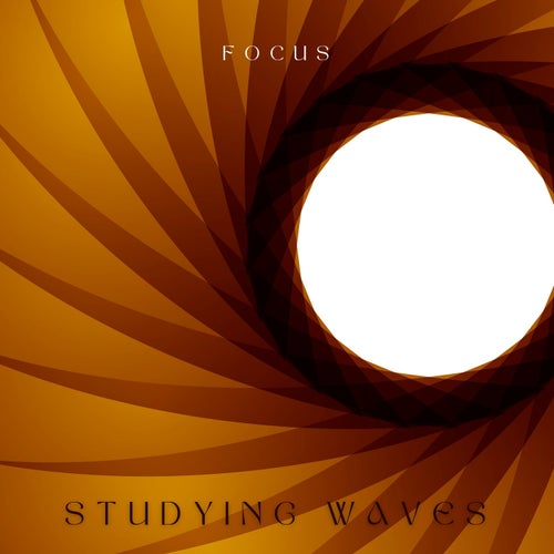 Focus