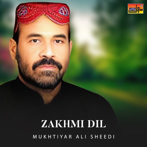 Zakhmi Dil