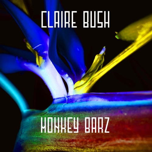 Monkey Barz