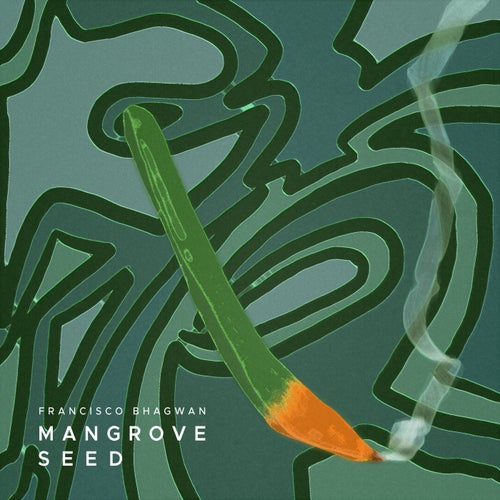 Mangrove Seed