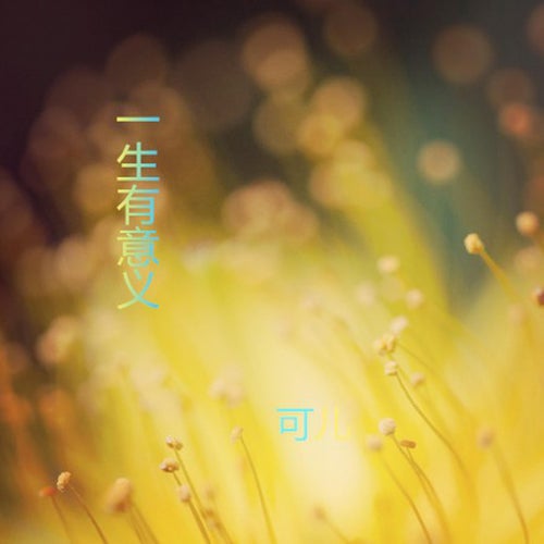 一生有意義