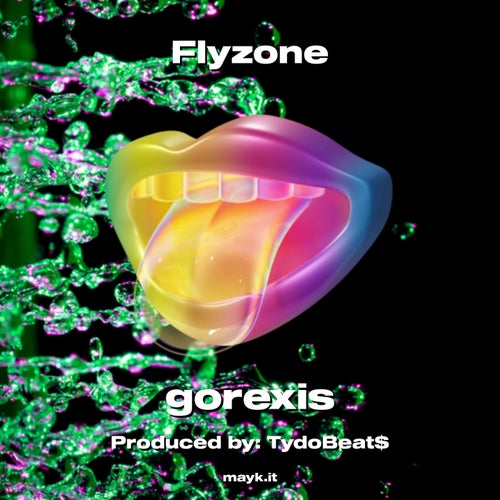 Flyzone
