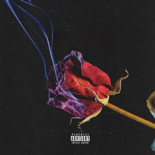 Release of the week