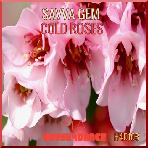 Cold Roses (Club Mix)