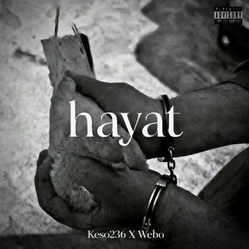 Hayat
