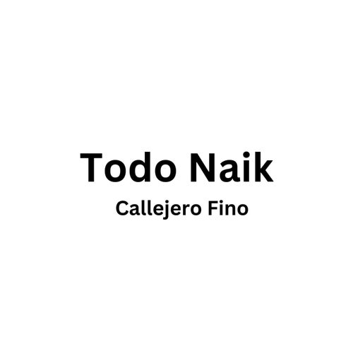 Todo Naik