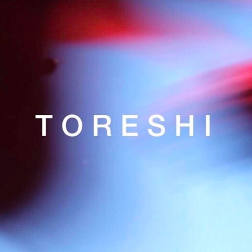 TORESHI, LLC Profile