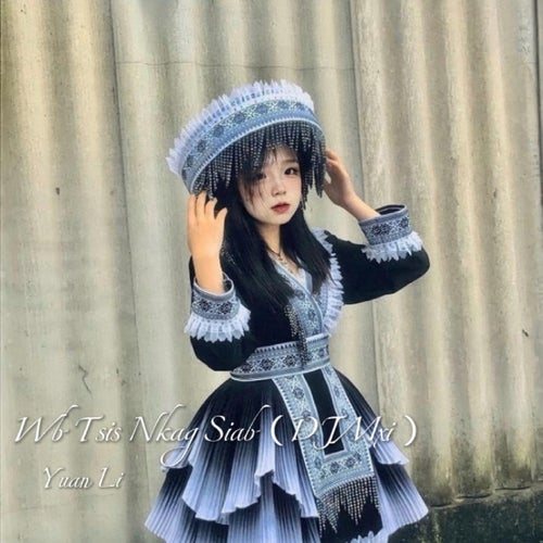 Wb Tsis Nkag Siab (DJ版)