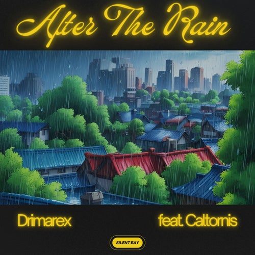After The Rain (feat. Caltornis)