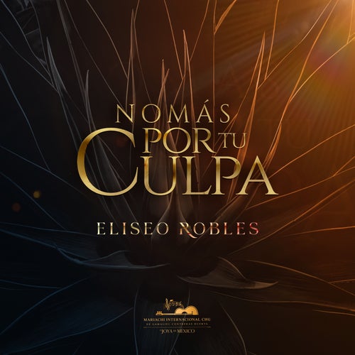 Nomás Por Tu Culpa